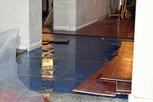 Professional Sewage Cleanup technician working in Ola, ID